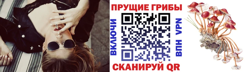 Галлюциногенные грибы мицелий Болотное